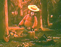 Ballad of Smokey The Bear DVD Rankin Bass